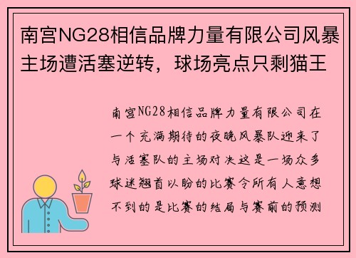 南宫NG28相信品牌力量有限公司风暴主场遭活塞逆转，球场亮点只剩猫王